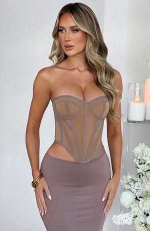 Babyboo Santanna Corset Chocolate Nude USA | 842-IXRTYQ